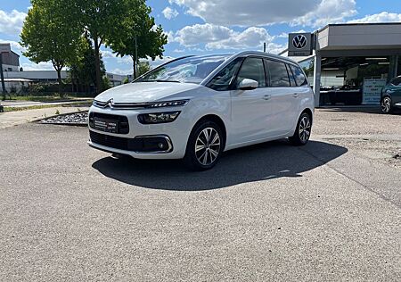 Citroën C4 Spacetourer Grand Pano / Kamera / Totwinkel