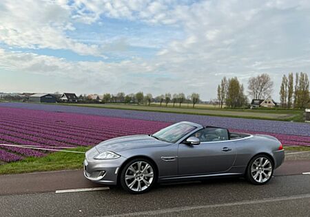 Jaguar XK 5.0 V8 Portfolio Cabriolet Portfolio Cabrio