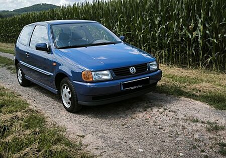 VW Polo Volkswagen 6N2