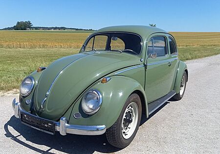 VW Käfer Volkswagen Ovali Okrasa