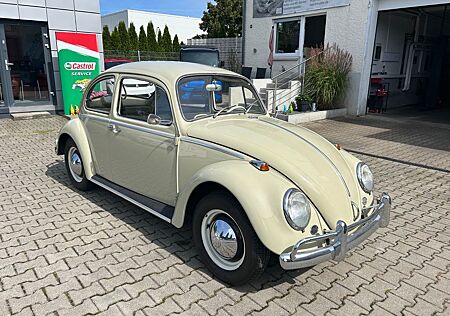 VW Käfer Volkswagen Sammlerstück sauber Restauriert