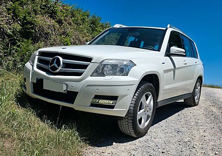 Mercedes-Benz GLK 220 CDI 4MATIC BlueEFFICIENCY -