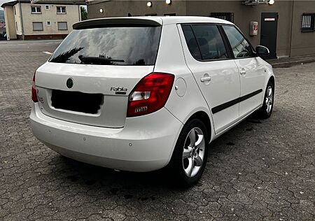 Skoda Fabia 1.2l 1Hand | SHZ | PDC