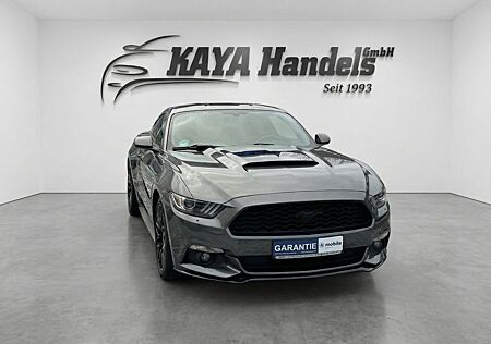 Ford Mustang 3.7 V6 Kamera+Leder Cricket+Roush Optik