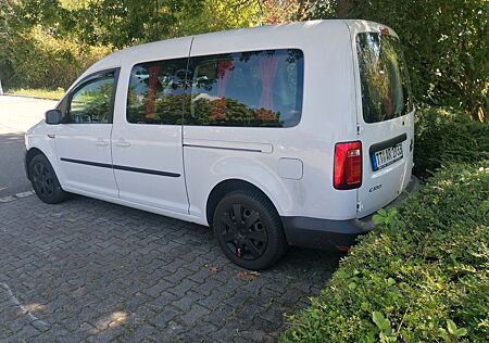 VW Caddy Volkswagen Maxi Camper