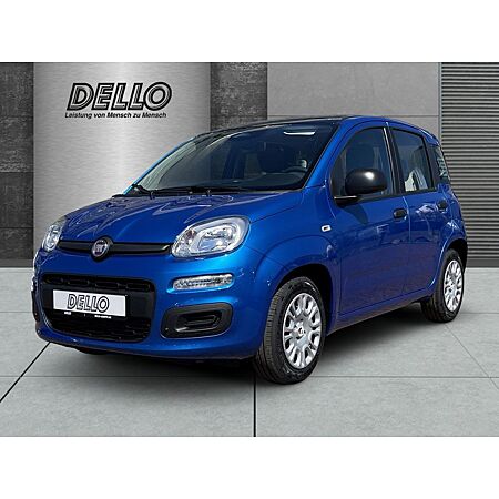 Fiat New Panda leasen