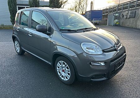 Fiat Panda Base
