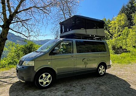 VW T5 Multivan Volkswagen Panamericana