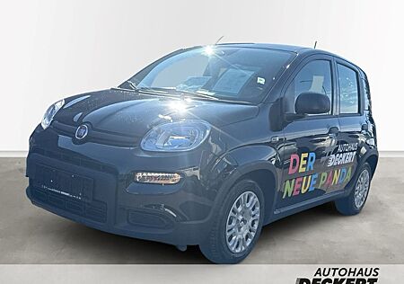 Fiat Panda 1.0 Mild Hybrid EU6e , City Paket, PDC hin