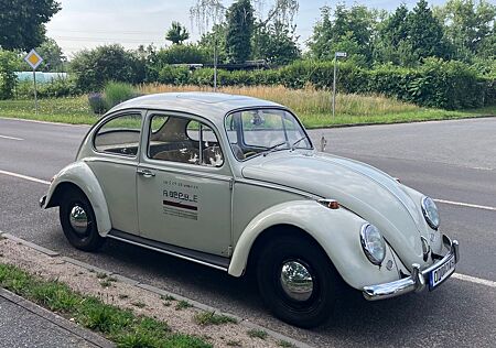 VW Käfer Volkswagen