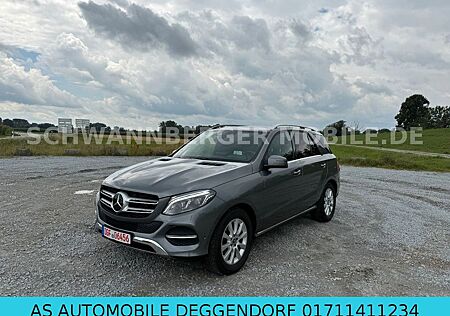 Mercedes-Benz GLE 250 d 4Matic-Offroad Paket-Standheizung-Ahk
