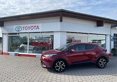 Toyota C-HR Hybrid Team D
