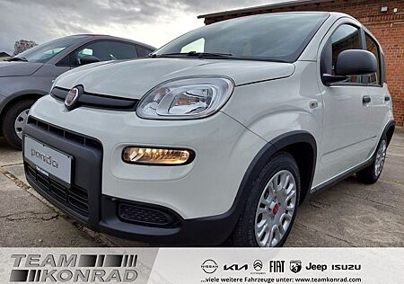 Fiat Panda 1.0 Pandina DAB Spurhalteass. Verkehrszeic