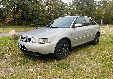 Audi A3 gebraucht kaufen Audi A3 1.6 8L