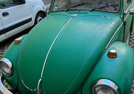 VW Käfer Volkswagen