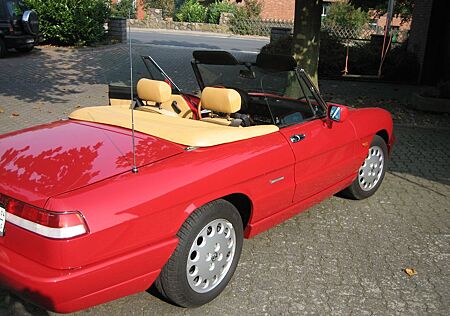 Alfa Romeo Spider