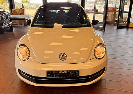VW New Beetle Volkswagen Lim. Sport, Panorama, Navim PDC