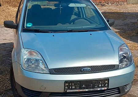 Ford Fiesta 1.3 51 kW - toller Anfängerauto