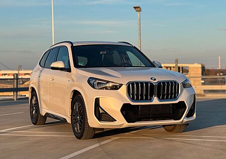 BMW X1 18i M Sport Pano Harman eSitz Keyless Kamera