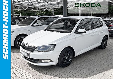 Skoda Fabia 1.2 TSI Joy Green tec PDC GRA SMARTLINK