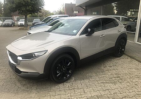 Mazda CX-30 2.5L e-SKYACTIV G 140ps