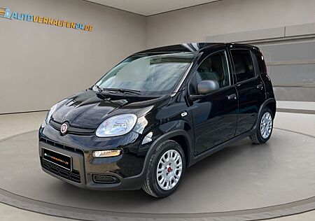 Fiat Panda Base Hybrid PDC KLIMA DAB BT 1.HD