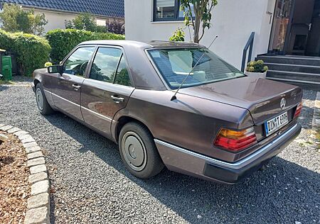Mercedes-Benz 230 gebraucht kaufen Mercedes-Benz 230 E Oldtimerzulassung