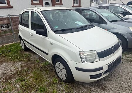 Fiat Panda gebraucht kaufen Fiat Panda 1.1 8V Active KEIN TÜV