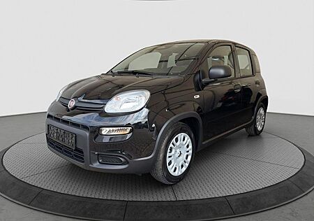 Fiat Panda gebraucht kaufen Fiat Panda Pandina Cross 1.0 Klima PDC Citypaket
