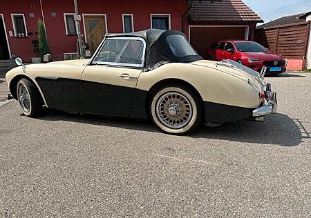 Austin Healey 3000 MK1 BN7