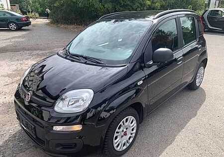 Fiat New Panda 1.2 8V EASY - 25000 KM 1.Hand Klima