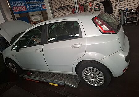 Fiat Punto 1.2 8V POP POP