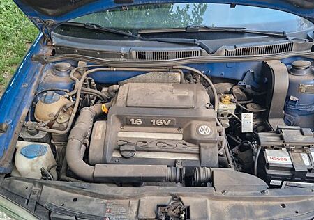 VW Golf Volkswagen 1.6 Basis Variant Basis
