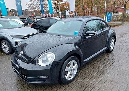 VW Beetle Volkswagen 1,2 TSI *PDC*Sitzhzg*Tempomat*KLA