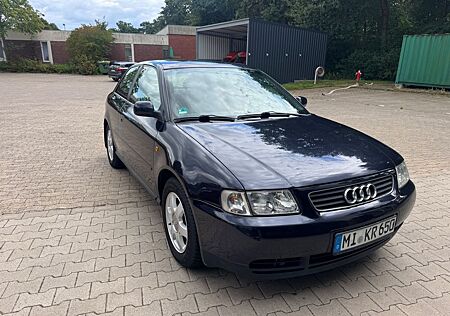 Audi A3 1.6 Ambition Ambition !Zahnriemen Neu!