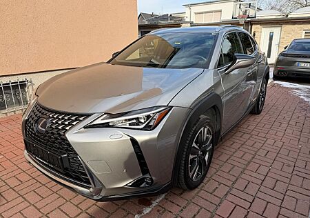 Lexus UX 250 h 1.HD+LED+ALCANTARA+NAVI+KAMERA