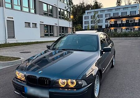 BMW 528i e39 M Paket TÜV/Leder/Top Zustand