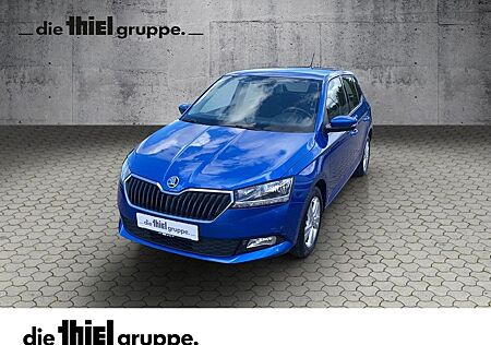 Skoda Fabia 1.0 TSI Ambition PDC/Kamera/Sitzhzg