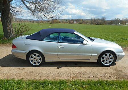 Mercedes-Benz CLK 320 Cabrio Avantgarde Desig.Bi-Col WGA15000