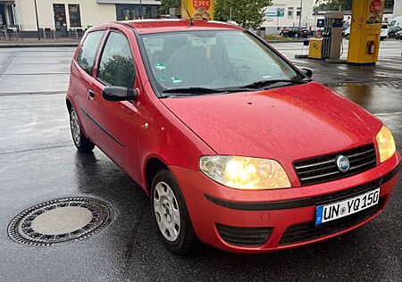 Fiat Punto gebraucht kaufen Fiat Punto 1.2 8V Active Active