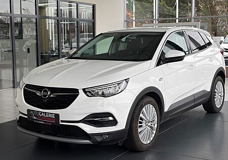 Opel Grandland X Grandland (X)Innovation/AUT/NAV/SHZ/L-HEIZ/R-KAM