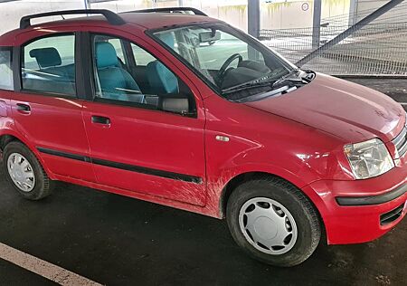 Fiat Panda für Liebhaber