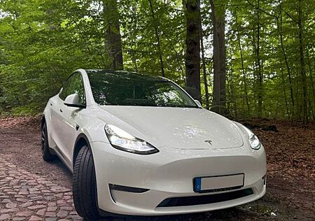Tesla Model Y Long Range Dual Motor AWD