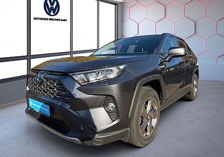 Toyota RAV 4 RAV4 Hybrid 4x2 Team Deutschland