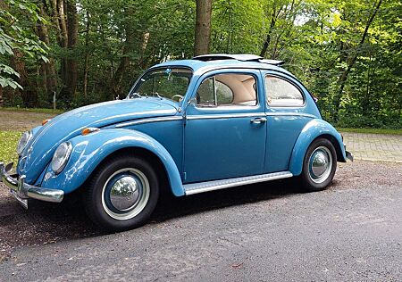 VW Käfer Volkswagen