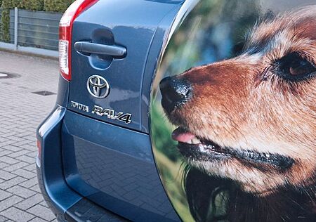 Toyota RAV 4 RAV4 Life 2,0i Benzin 1 Hand 4 Türen