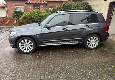 Mercedes-Benz GLK 250 BlueTEC 4MATIC Distronik, Standheizung,