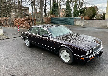 Jaguar XJ6 X300 Executive Sovereign Sehr gepflegt