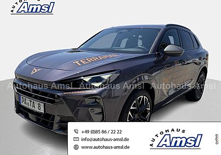 Cupra Terramar 2.0 TSI VZ 4Drive DSG *HUD*PANO*Matrix*