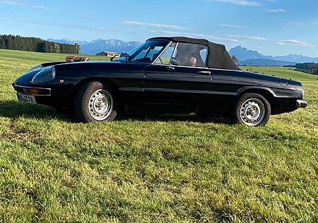 Alfa Romeo Spider